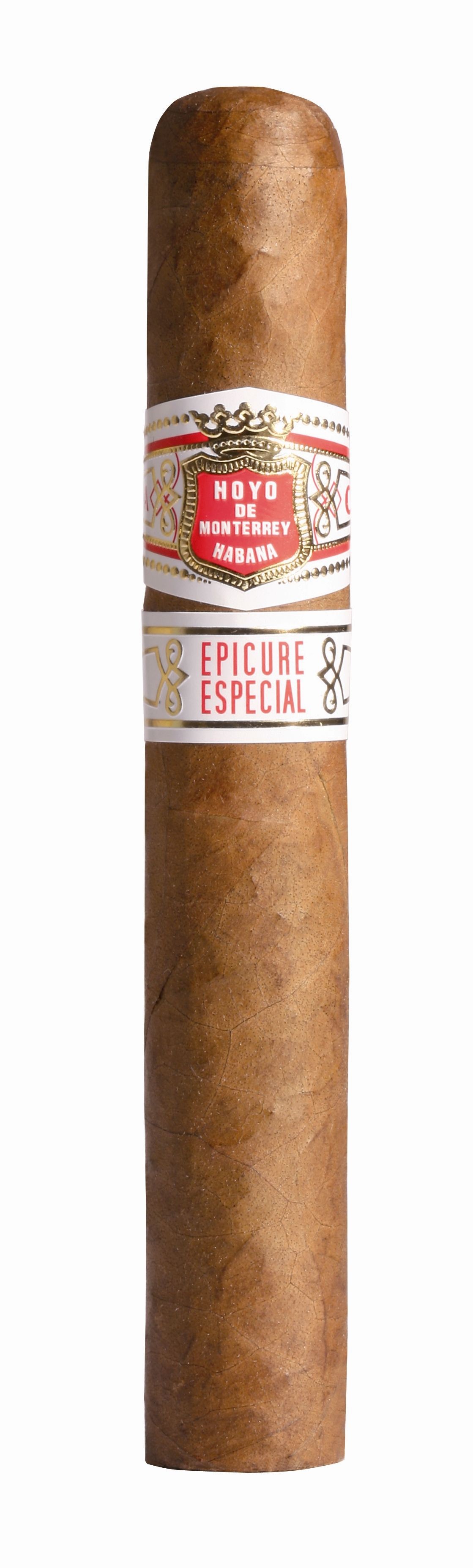 Hoyo De Monterrey Epicure Especial Gordito