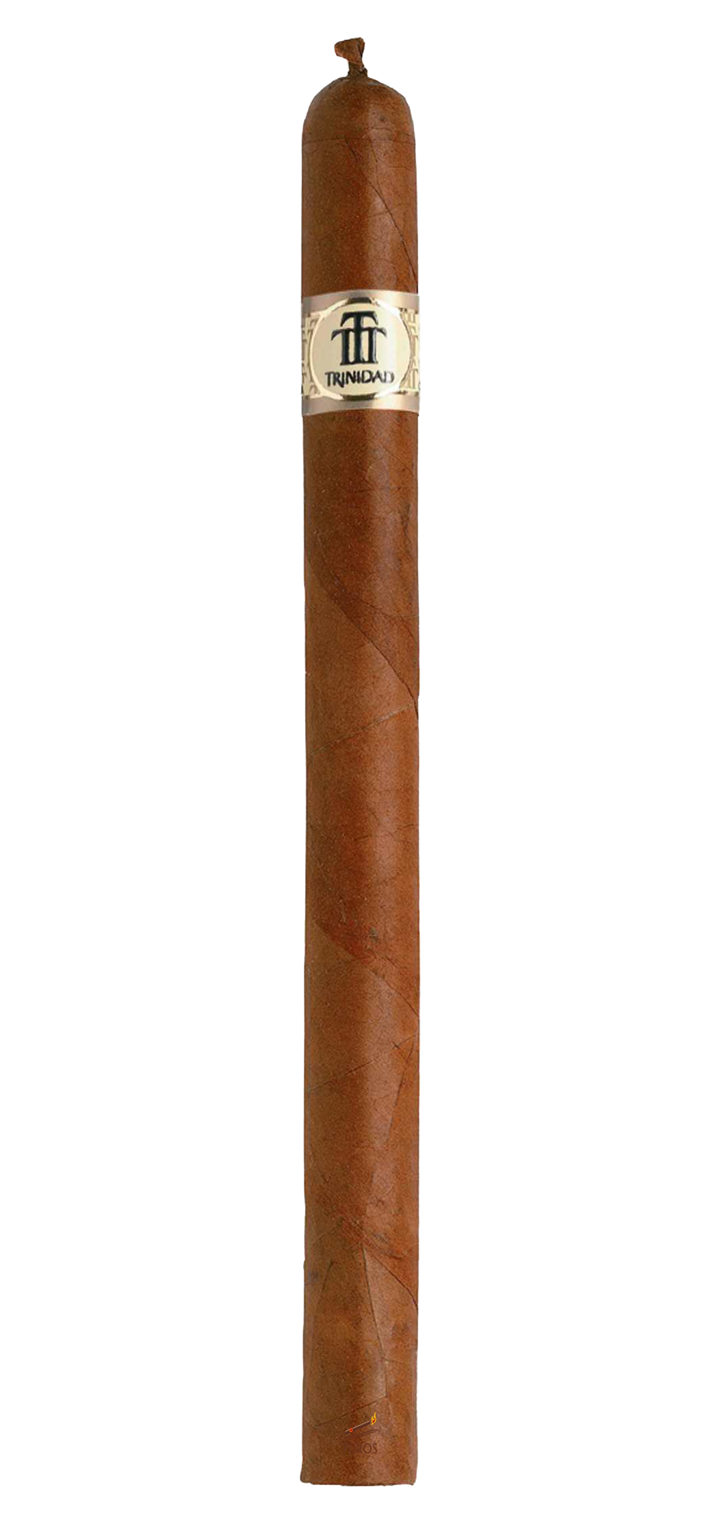 Trinidad Fundadores