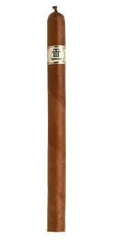 Trinidad Fundadores