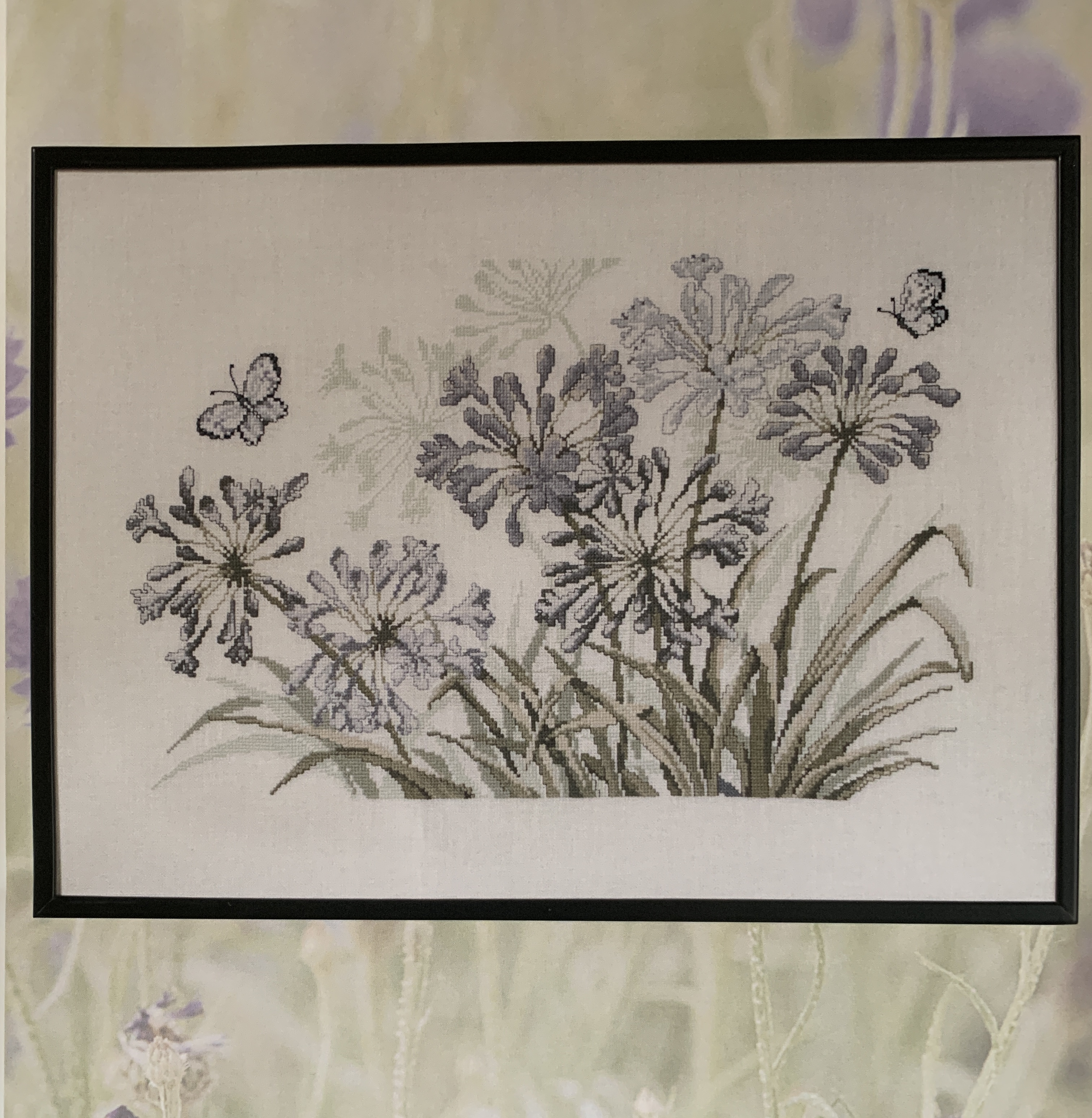 Tavla. Grå Agapanthus.