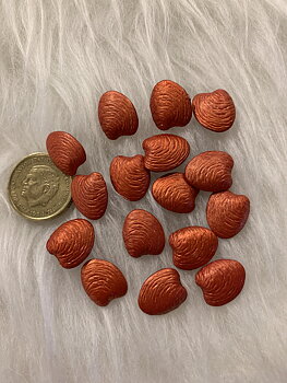 Knapp. Roströd Snäcka