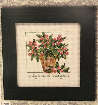 Tavla  Oregano