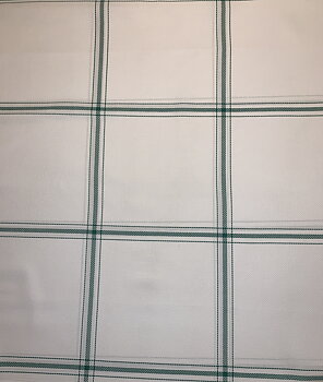 Aidaväv med vävda gröna rutor.