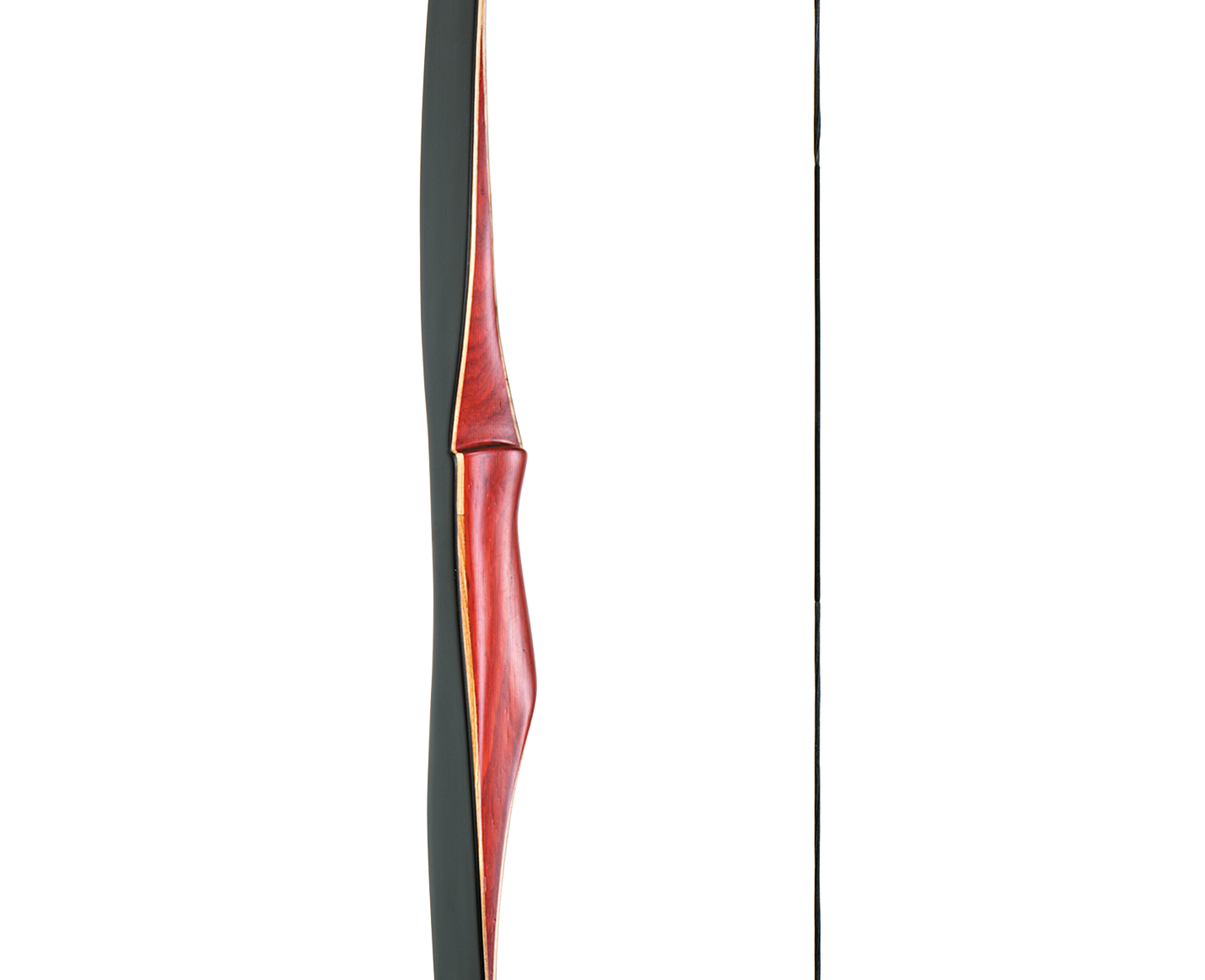 Ragim Fox - 2