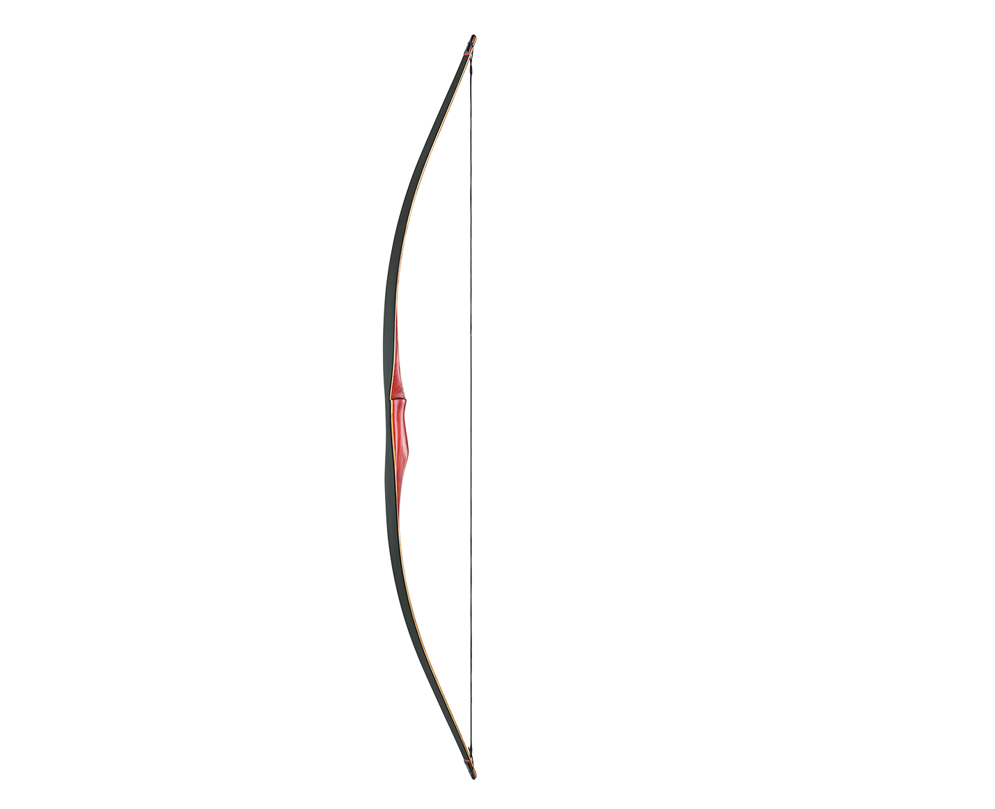 Ragim Fox
