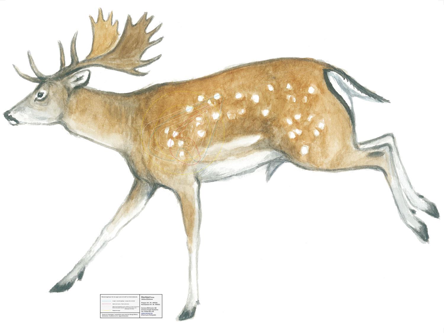 Canaxa Jakttapet - 2