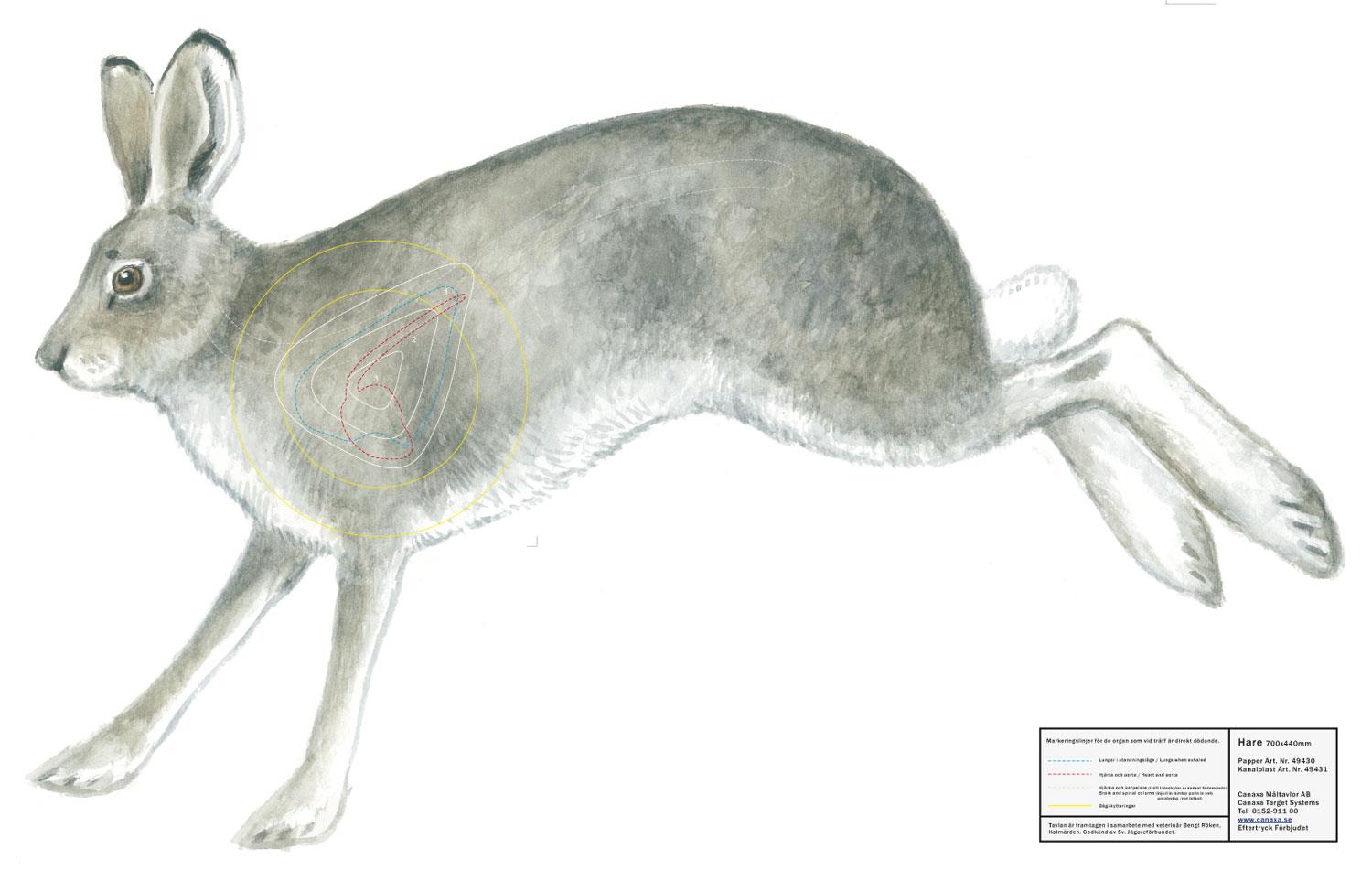 Canaxa Jakttapet - 5