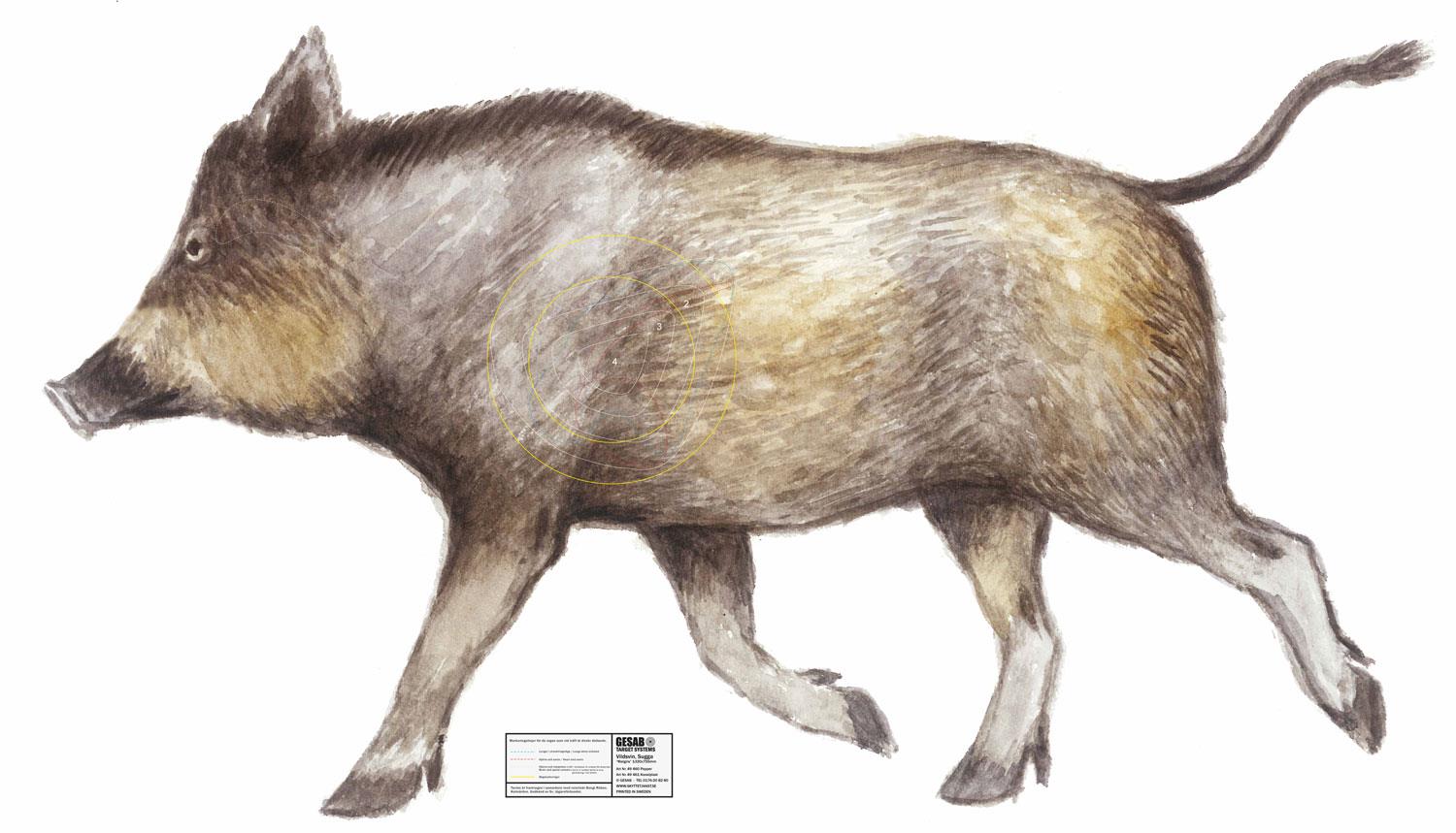 Canaxa Jakttapet - 8