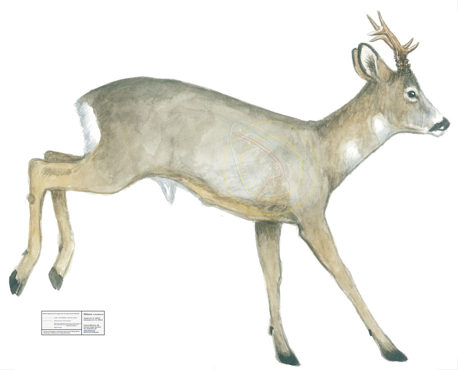 Canaxa Jakttapet - 9