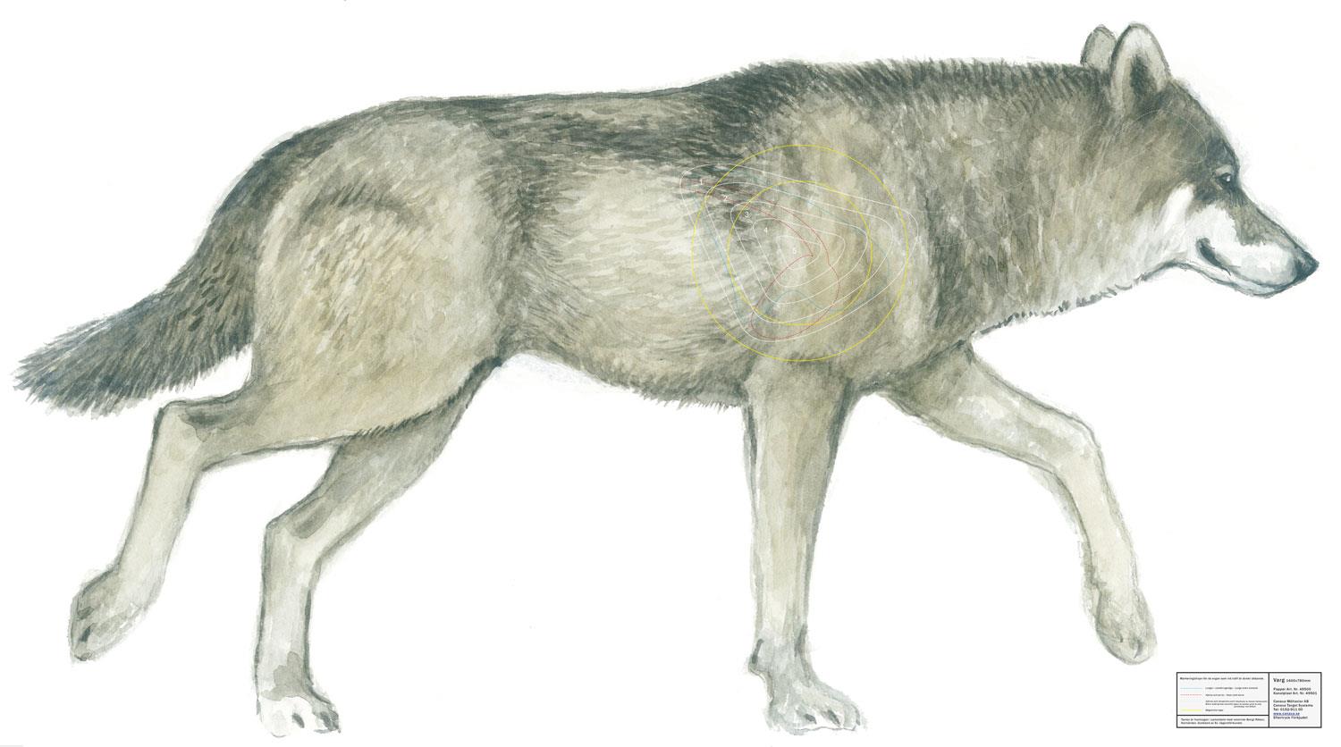 Canaxa Jakttapet - 12