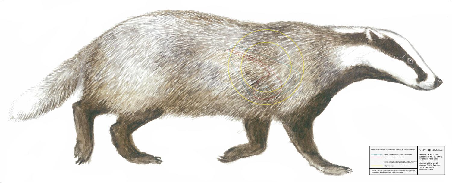 Canaxa Jakttapet - 4