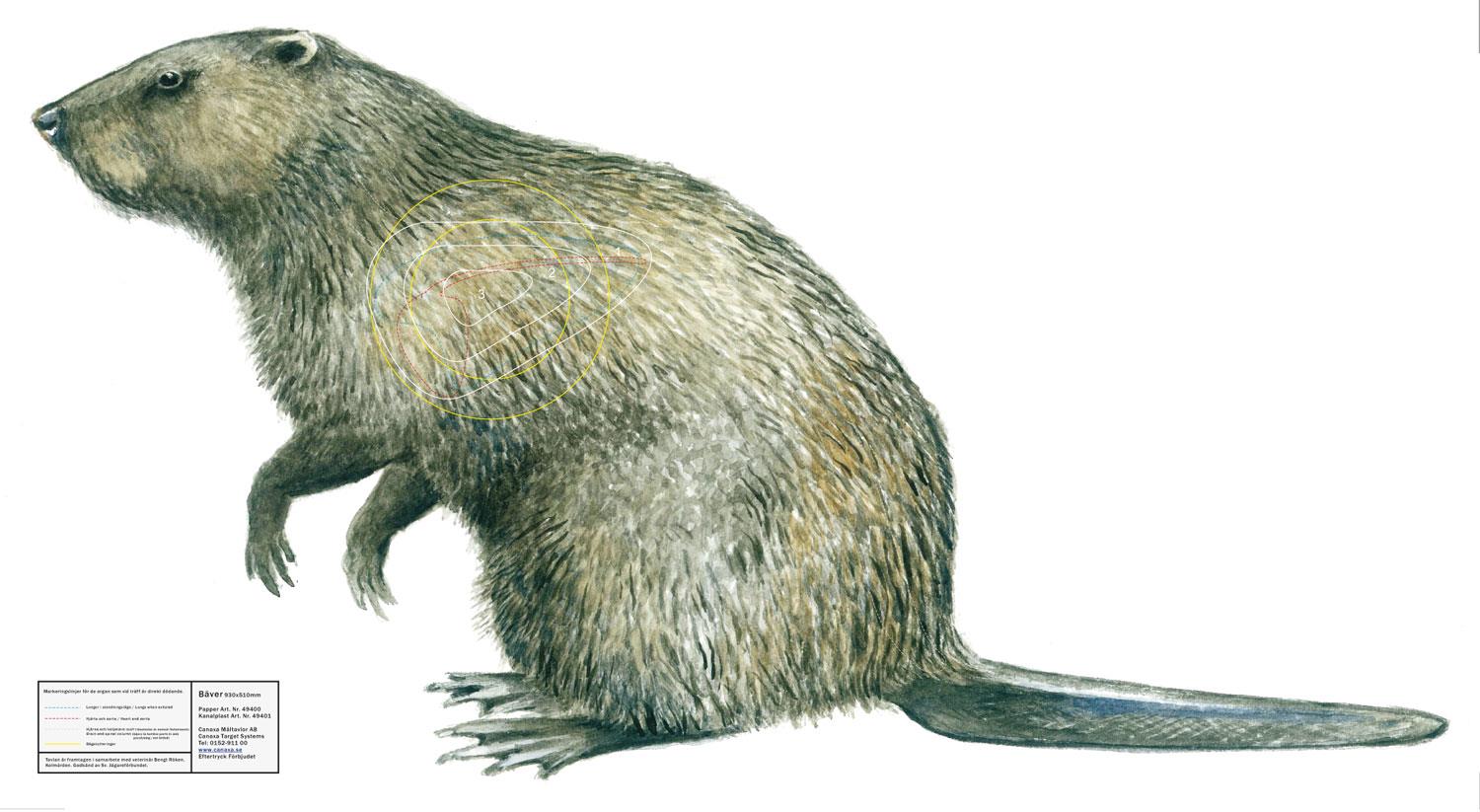 Canaxa Jakttapet