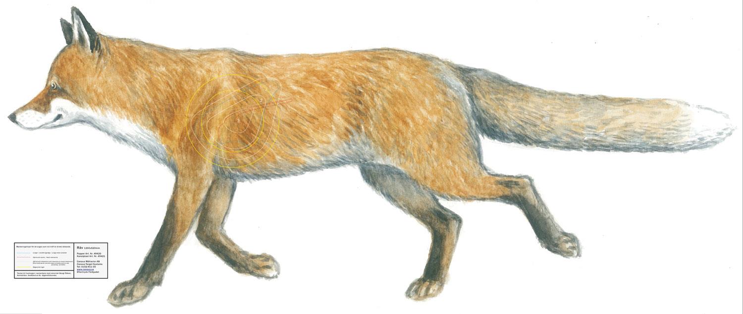 Canaxa Jakttapet - 10