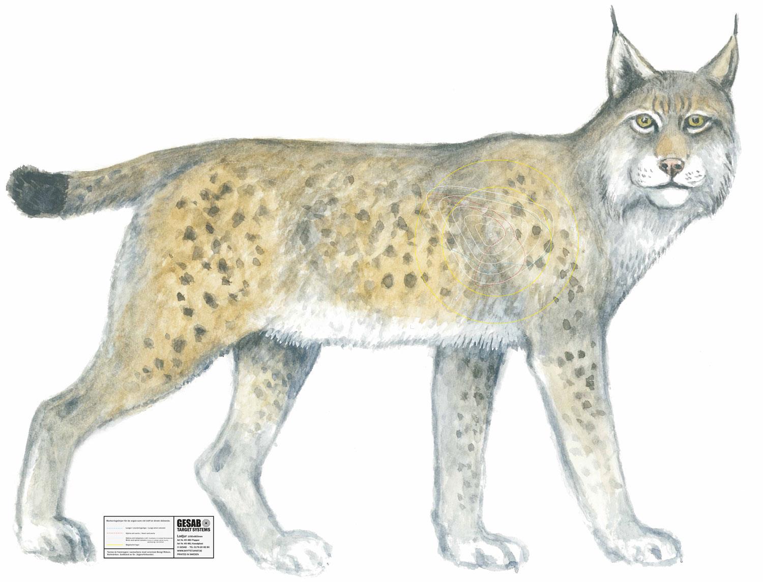 Canaxa Jakttapet - 7