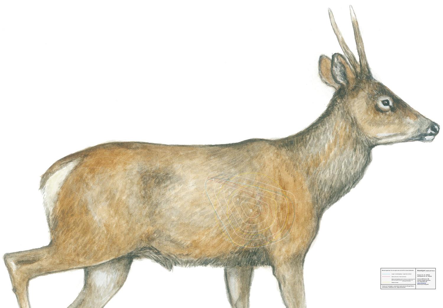 Canaxa Jakttapet - 6