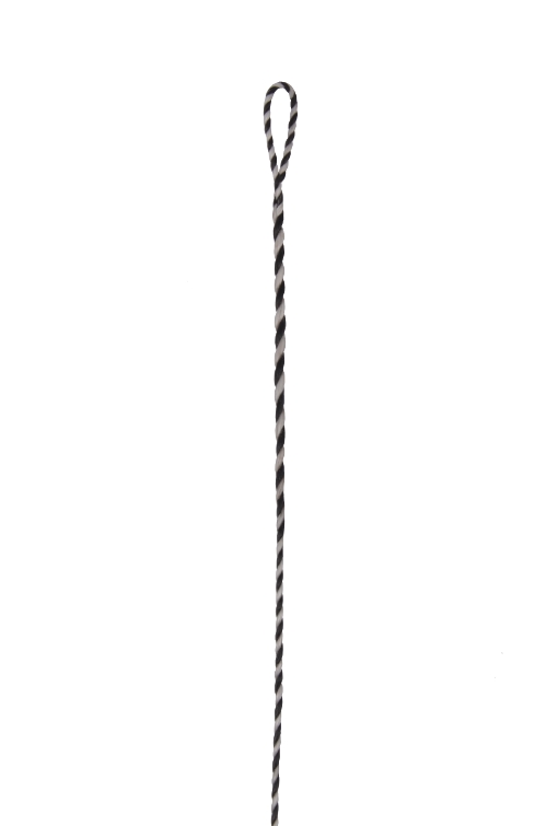 Standard Flemish String Speed Flight