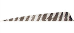 Gateway 5 Tum Shield Imitation Barred - 7