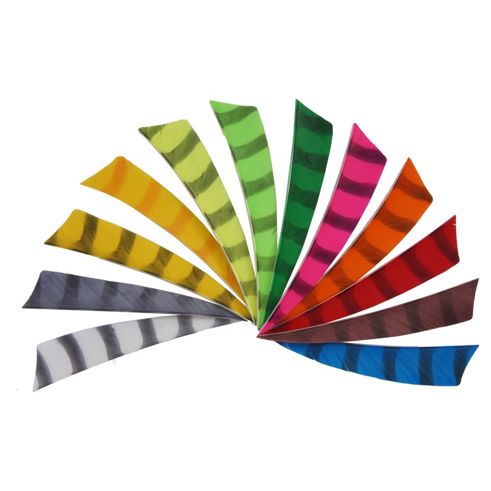 Bearpaw 3" Shield Barrerad