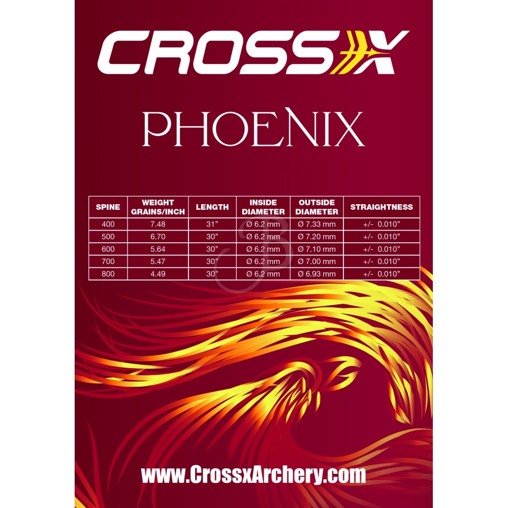 Kolfiberpil Cross-X Phoenix med fenor - 3