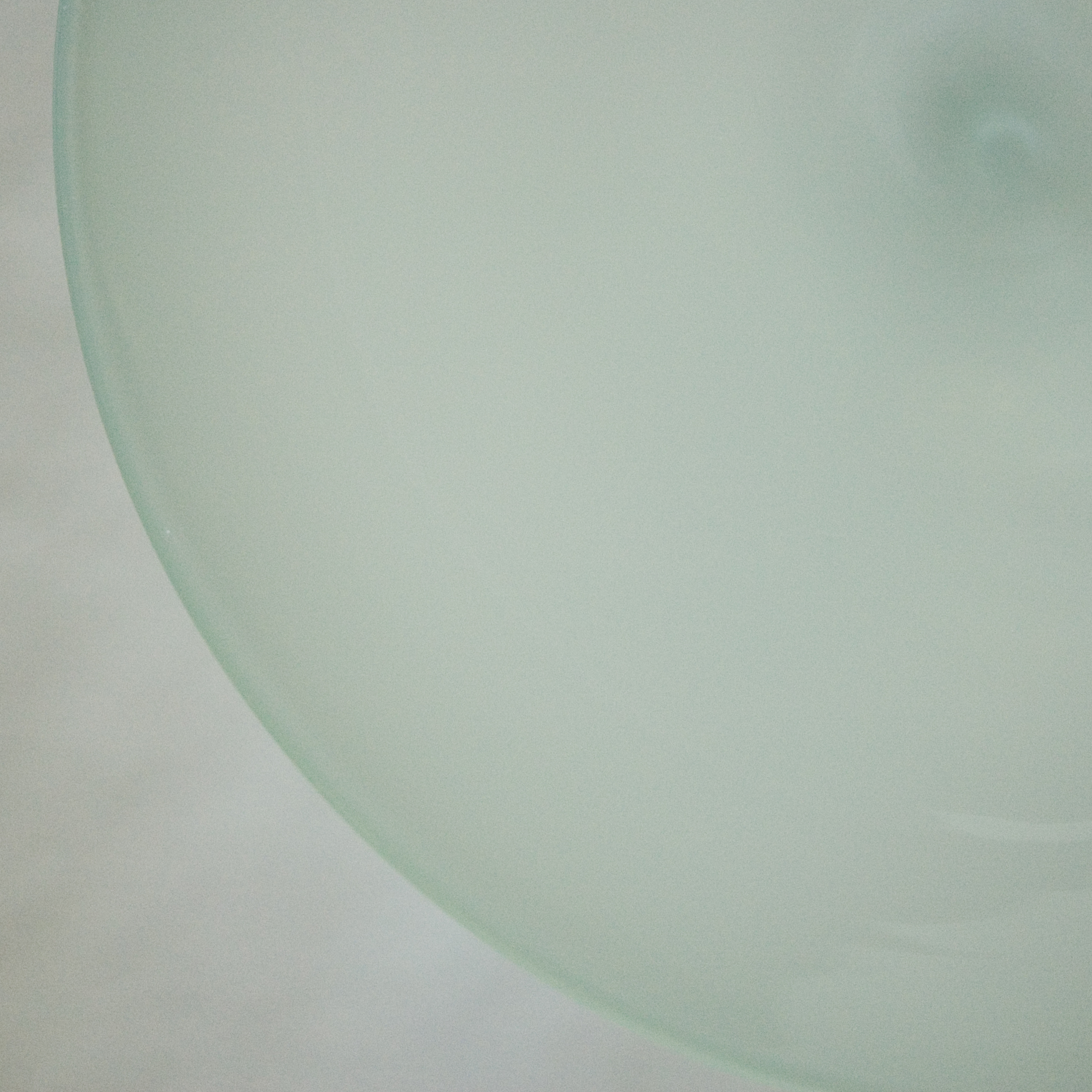 Cake dish - 4