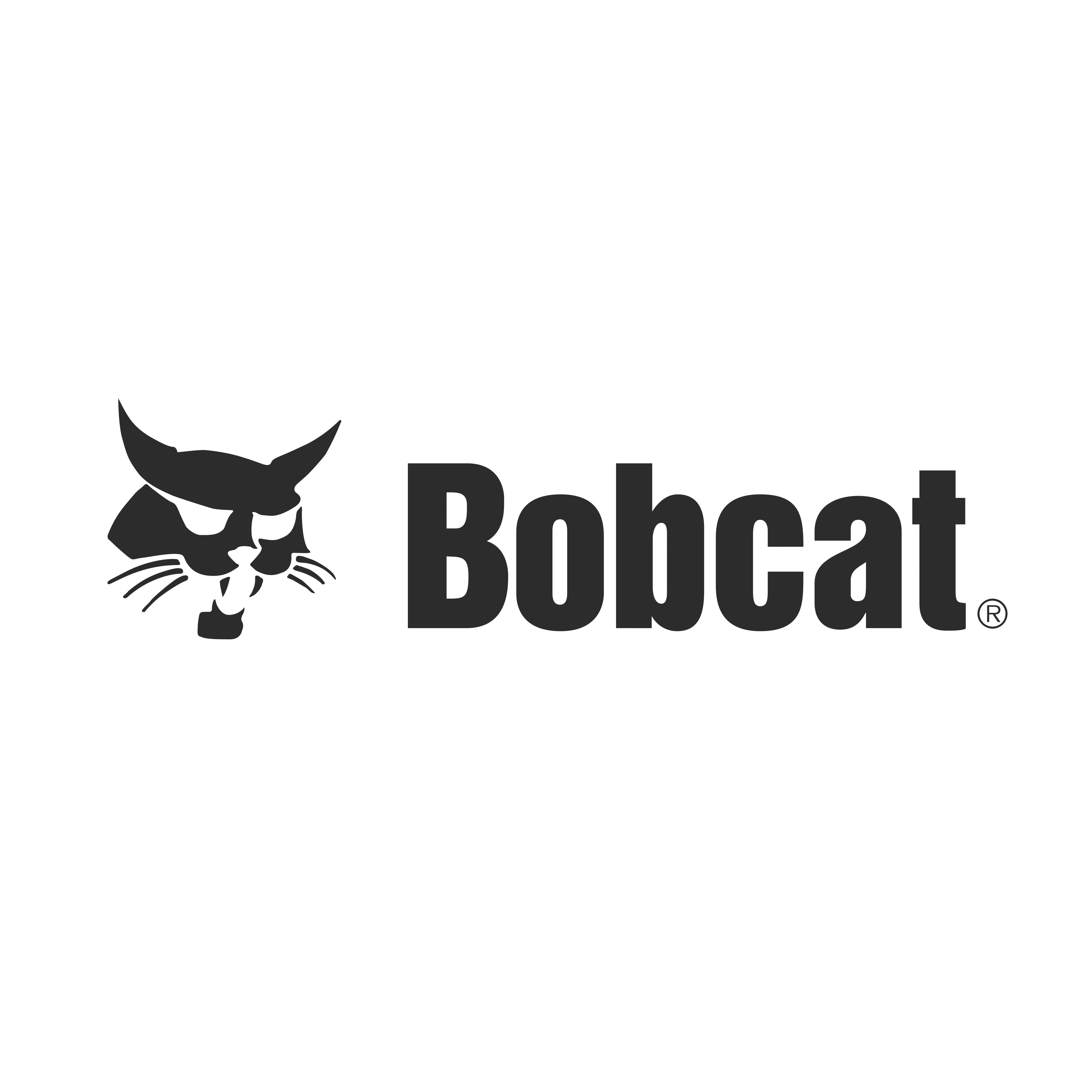 Bobcat