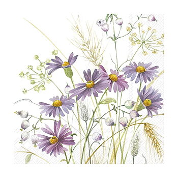 ihr Kaffeservetter Aster