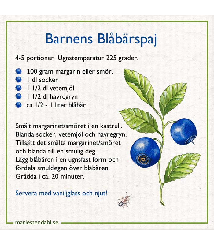 Marie Stendahl Disktrasa Blåbärspaj