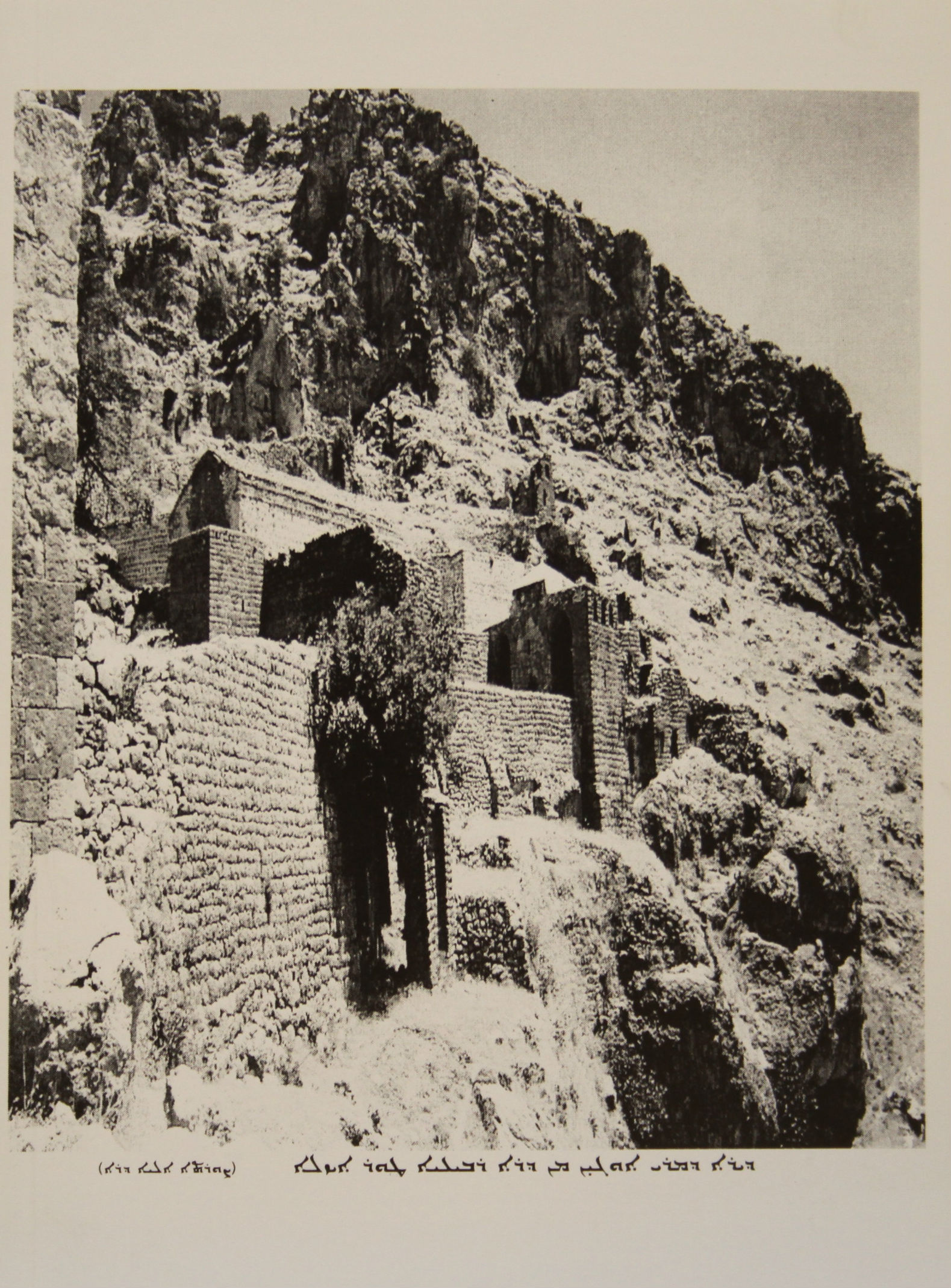 Mimre d'dayroyo caguro - 2