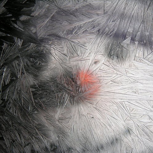 Frost - Brush on