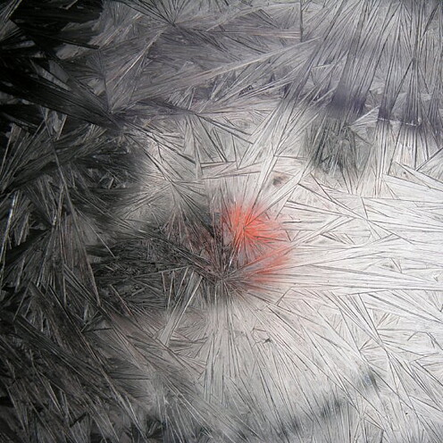Frost - Brush on