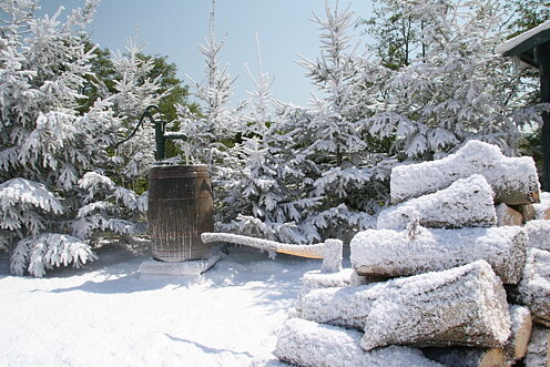 Vintermiljö 1