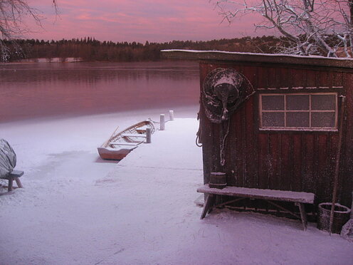 Vintermiljö 5