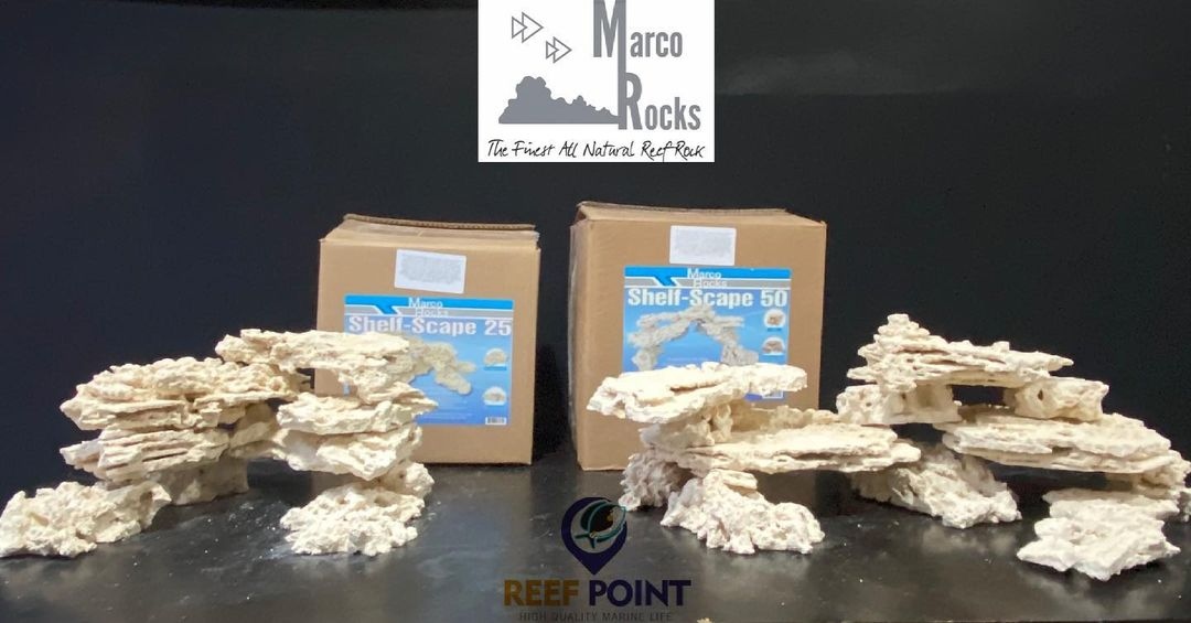 Marcorock Shelf Scape Box