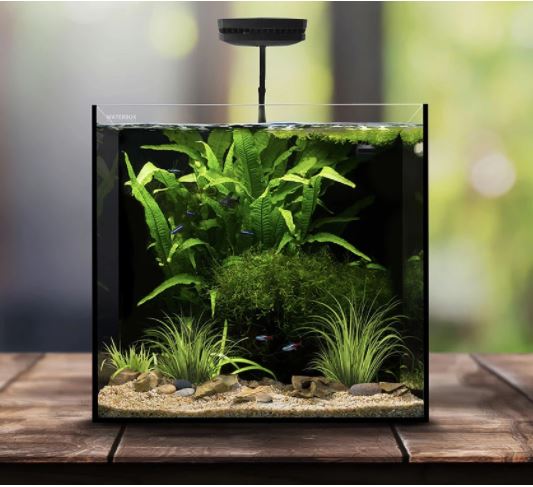 Waterbox AIO Cube 20 (76L) - 9
