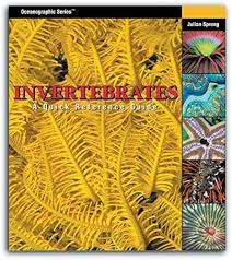 Invertebrates: A Quick Reference Guide