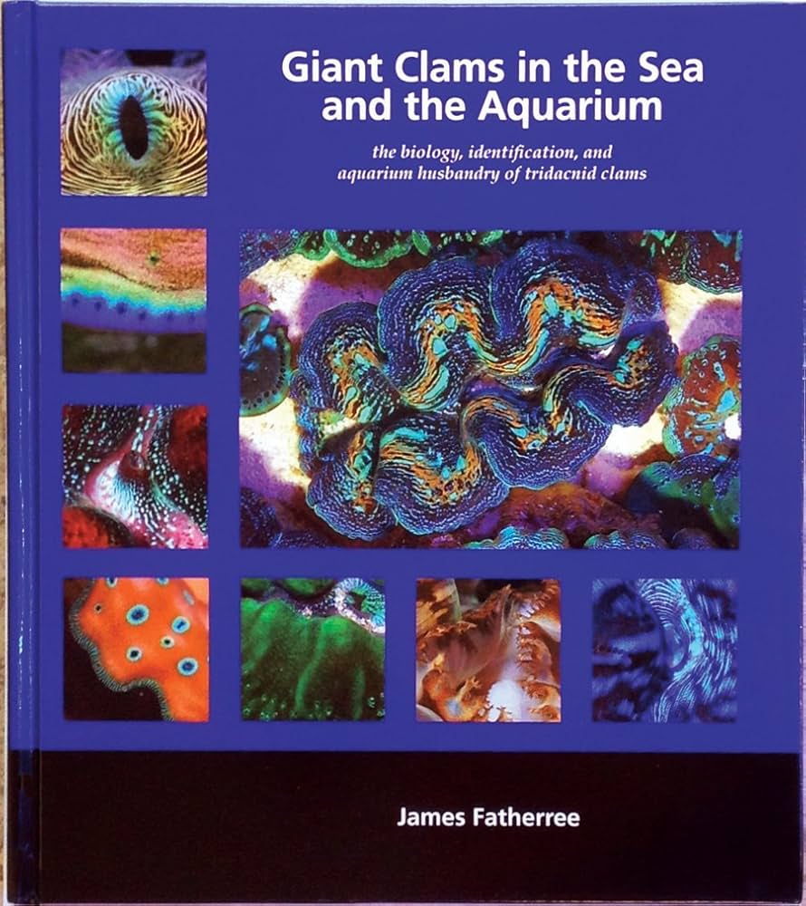 Giant Clams in the Sea and the Aquarium