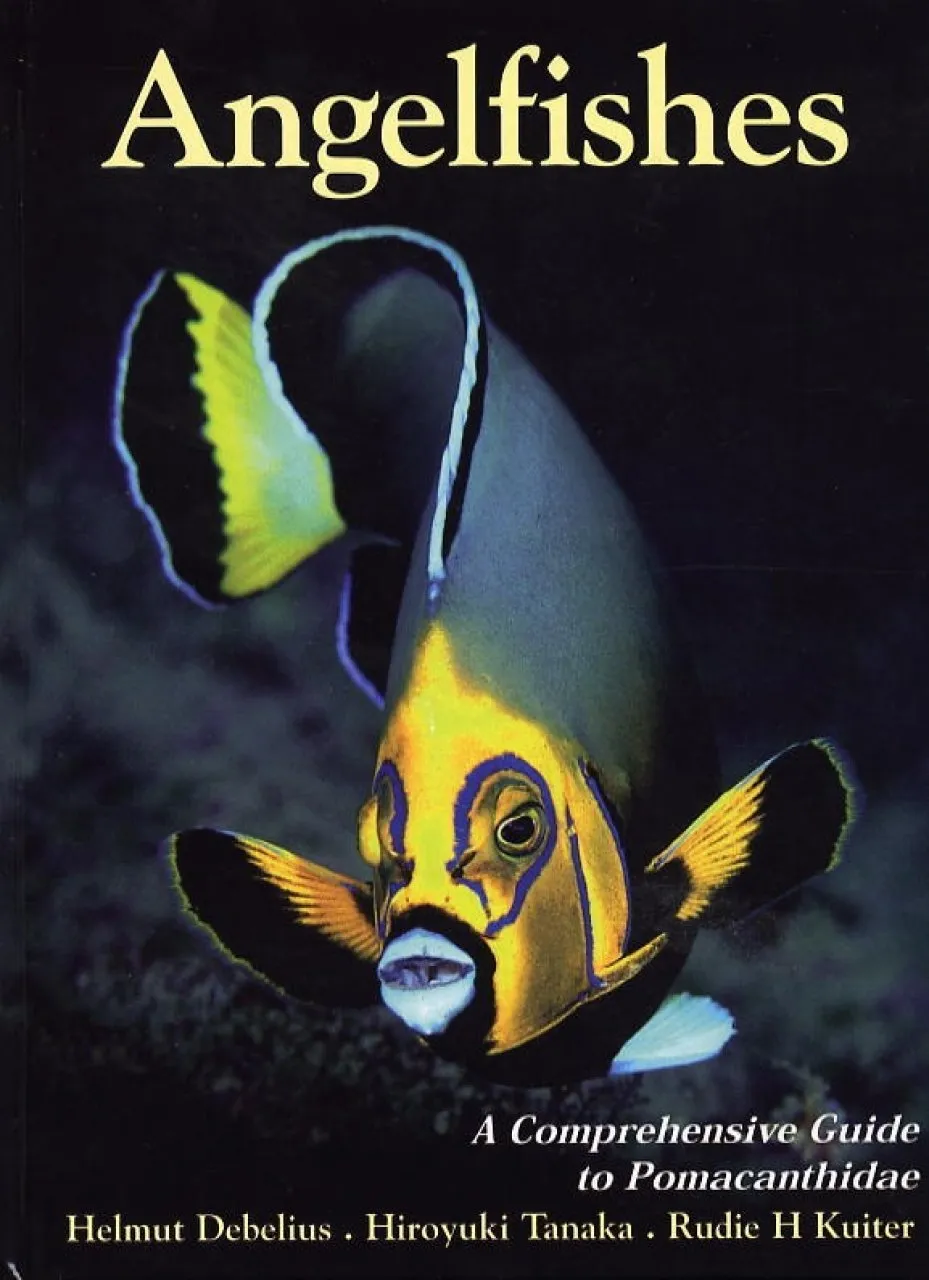 Angelfishes Guide