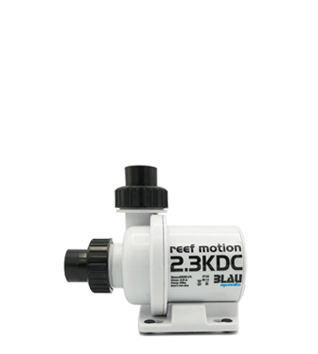 Blau KDC pumps - 2