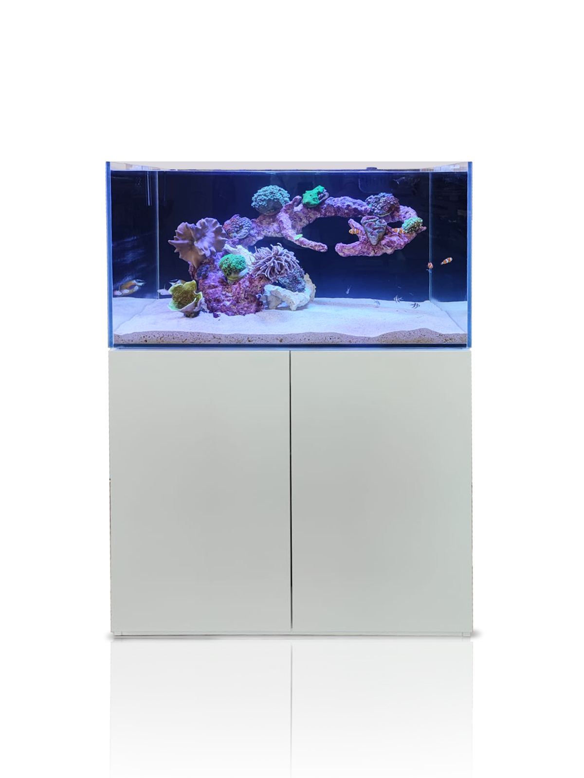 Blau Gran Cubic Super Reef 92