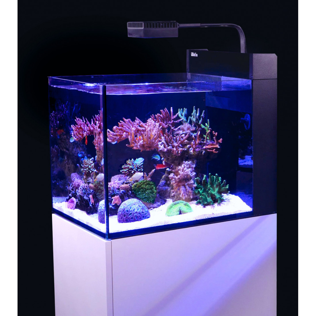 Red Sea Nano Komplett plug & play saltvattensakvarium - 4