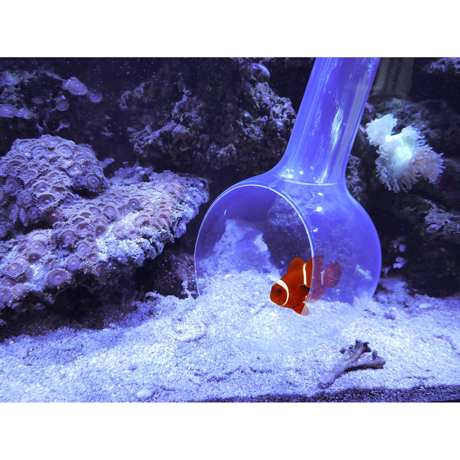 Aqua Medic Catch Bowl