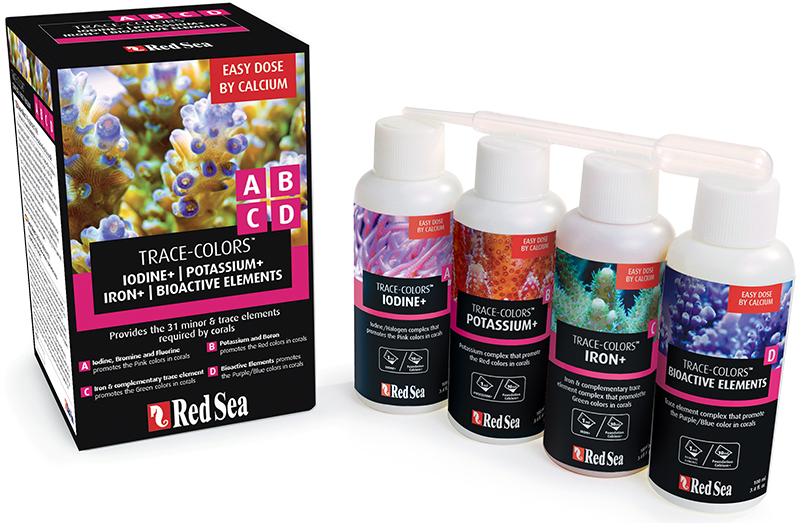 Red sea Coral Colors A,B,C,D
