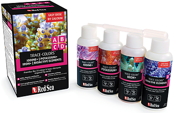 Red sea Coral Colors A,B,C,D
