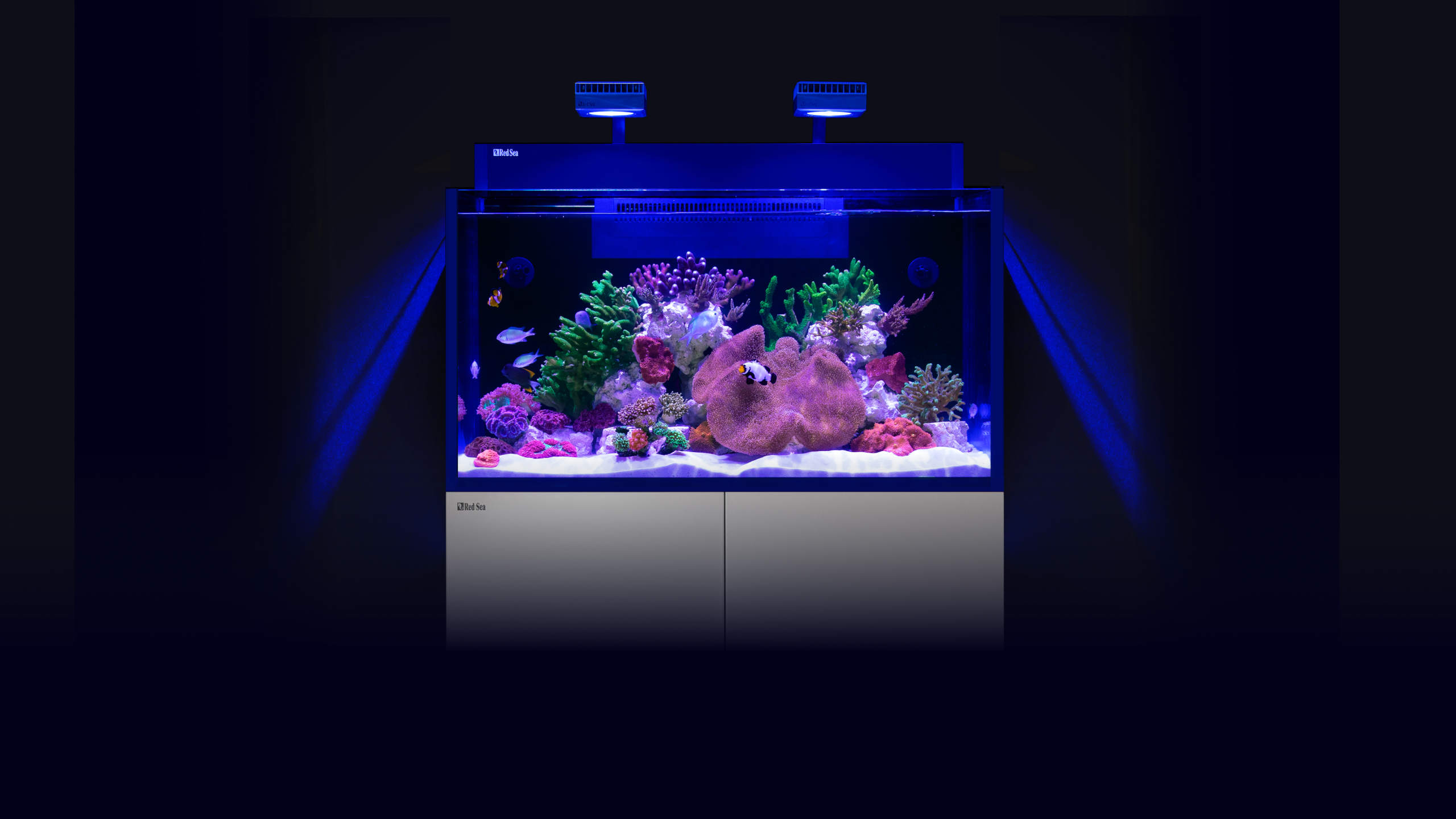 Red Sea Nano G2 XXL 200Liter Komplett plug & play saltvattensakvarium - 7