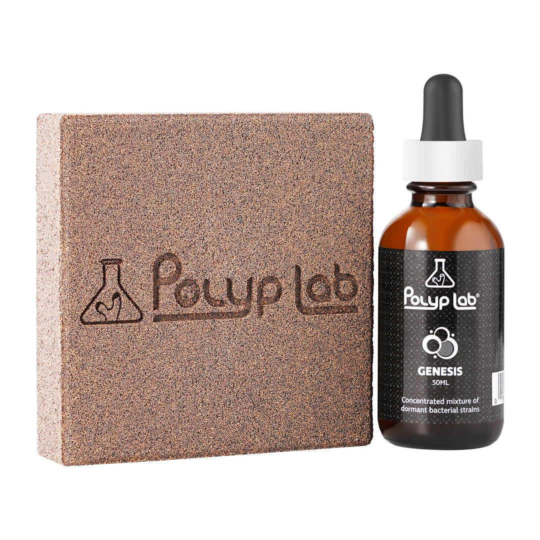 Polyplab Genesis Rock 2pack  inkl 50ml Genesis
