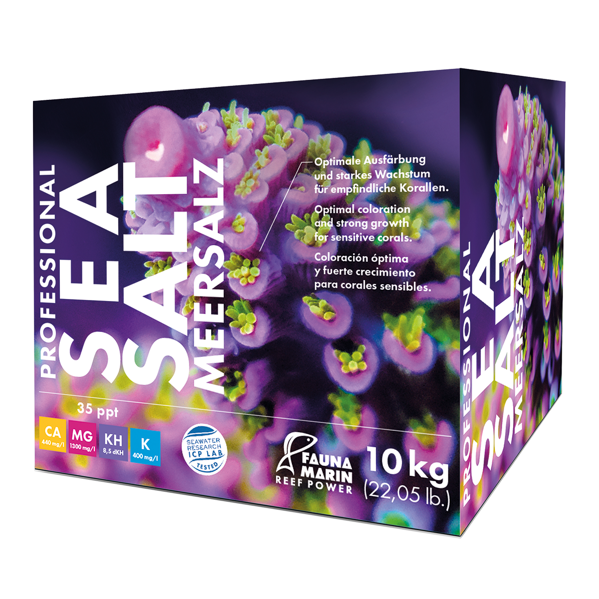 Fauna marin Salt - 2