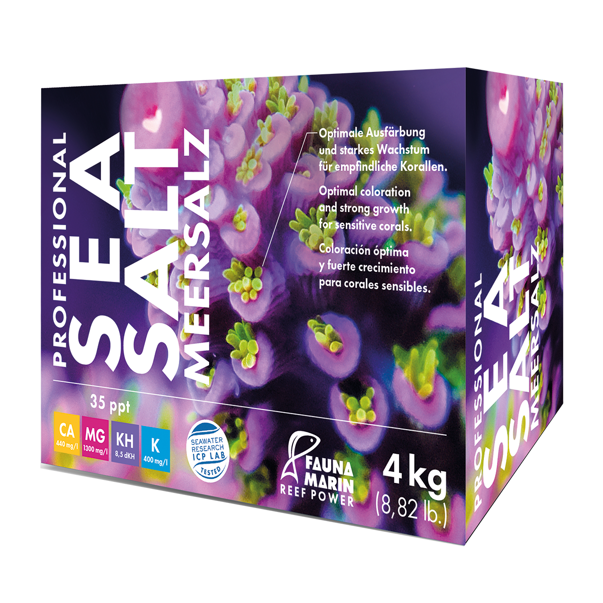 Fauna marin Salt - 3