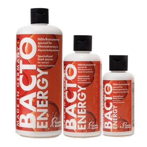 Fauna marin Bacto Energy