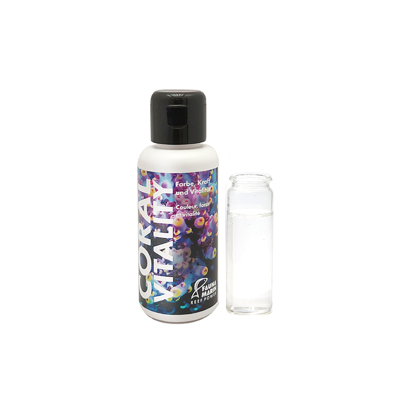 Fauna marin Coral Vitality