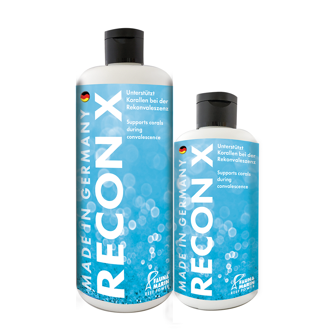 Fauna marin Recon X